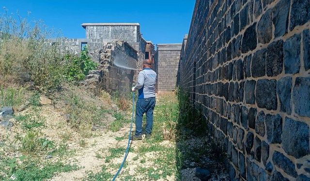 Diyarbakır'da artan akrep şikayetlerine karşı ilaçlama