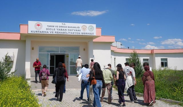 Yaban Hayatı Merkezi Veteriner Adaylarına Kapılarını Açıyor