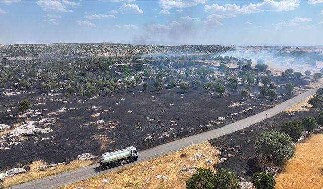 Diyarbakır'da örtü yangını söndürüldü
