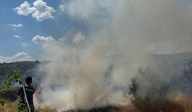 Diyarbakır Lice'de çıkan ağaçlık alan yangını söndürüldü
