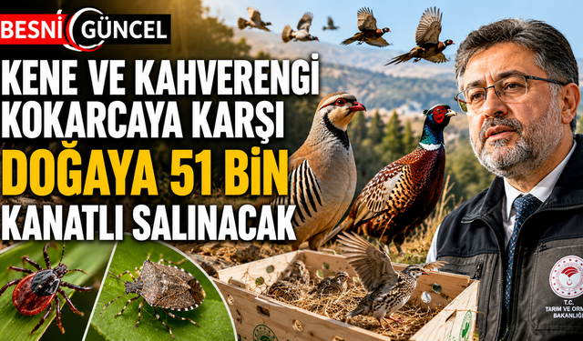 Zararlılara Karşı Keklik ve Sülün Ordusu Görevde