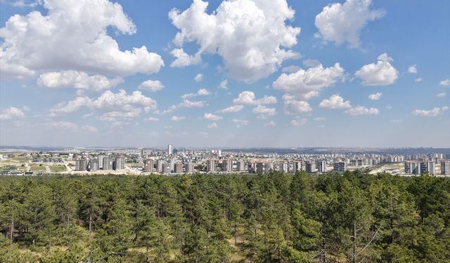 Türkiye'ye İki Yeni Tabiat Parkı Daha Kazandırıldı