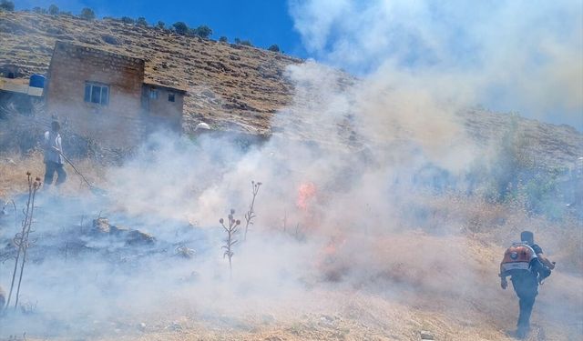 Mardin'deki Ot ve Saman Yangınları Söndürüldü