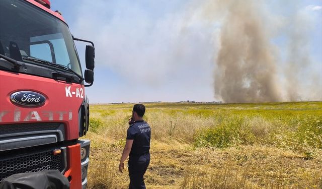 Mardin Kızıltepe'de çıkan yangınlar söndürüldü