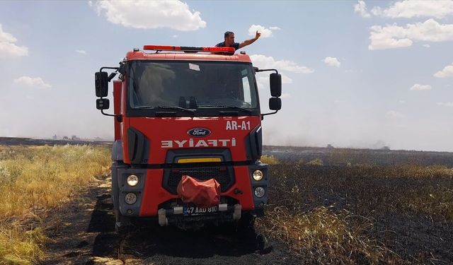 Mardin Artuklu'da Buğday ve Arpa Ekinleri Yangında Zarar