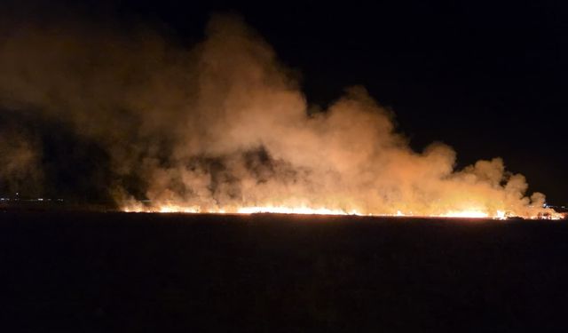 Nusaybin Kırsalındaki Anız Yangını Kontrol Altına Alındı