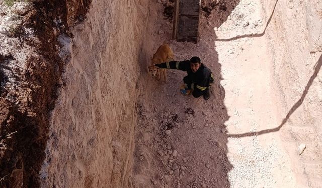 Midyat'ta Çukura Düşen Köpeği İtfaiye Kurtardı