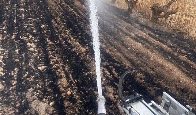 Mardin'de Çıkan Yangınlar Kontrol Altına Alındı