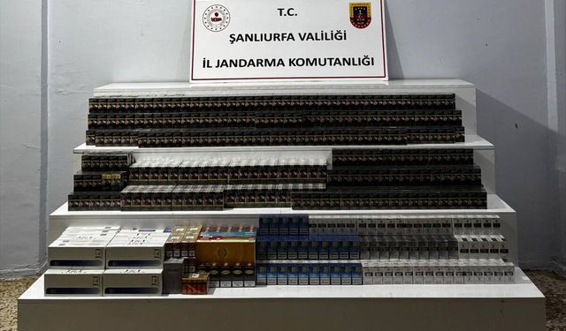 Viranşehir'de kaçakçılık operasyonu: 22 şüpheliye adli süreç