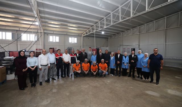 Siirt Valisi Kızılkaya tarımsal üretim alanlarında incelemede bulundu