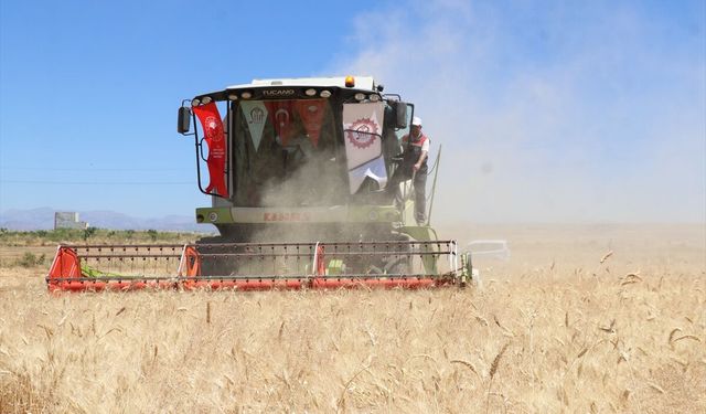 Siirt'te Garzan Ovası'nda Hasat Şenliği Coşkusu