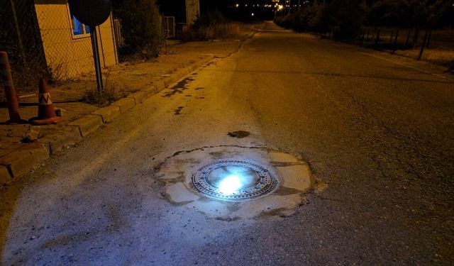 Zehirlenen 32 küçükbaş hayvan telef oldu