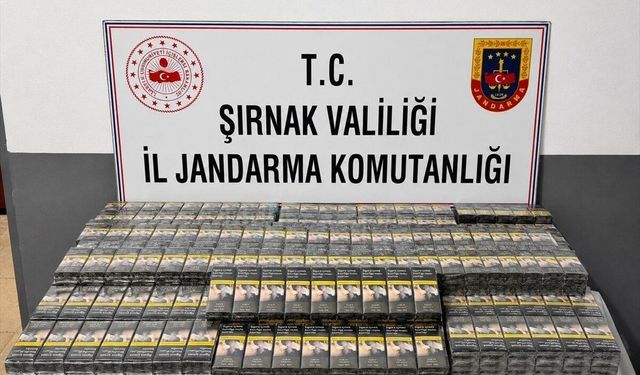 Şırnak'ta büyük operasyon: 103 kişiye adli işlem