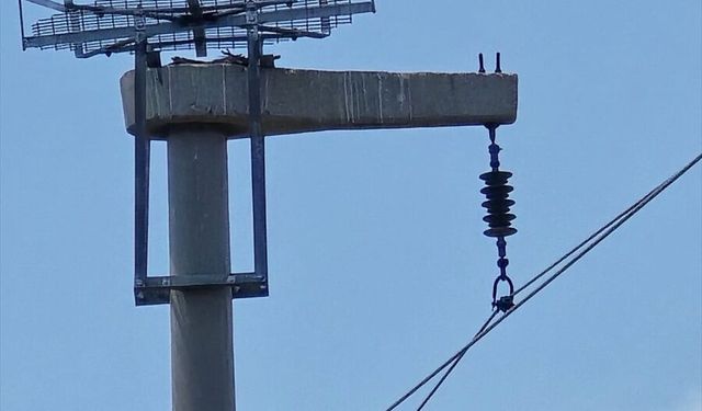 Leylekler için Şırnak'ta elektrik direklerine güvenli