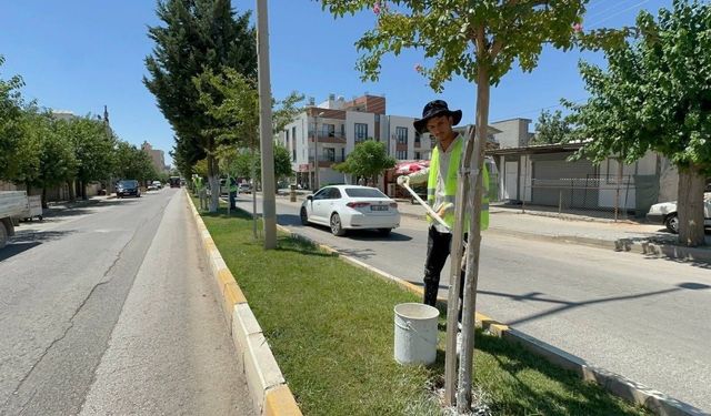 Adıyaman'da Ağaçlar Yaz Korumasına Alındı