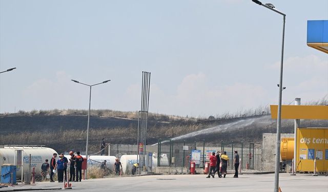 Ankara'da Ot Yangınına Havadan ve Karadan Müdahale Ediliyor