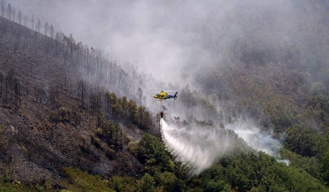 Yangın Riskine Karşı Kuru Ot Temizliği Çağrısı