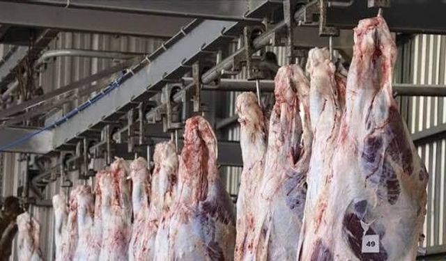 Bakan Yumaklı: “Kesimhanelerde Yeni Dönem Başlıyor”