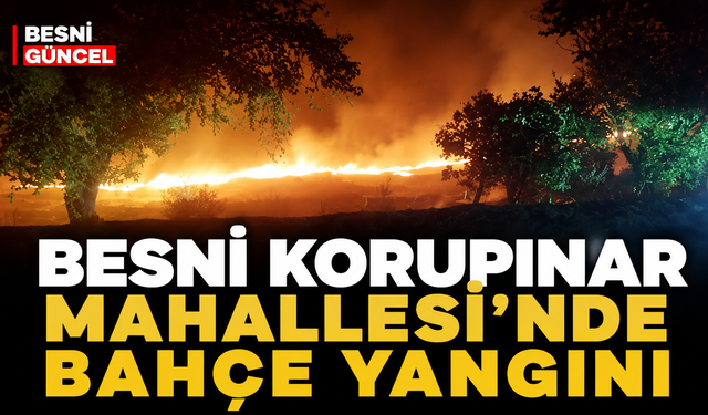 Besni Korupınar Mahallesi'nde Bahçe Yangını