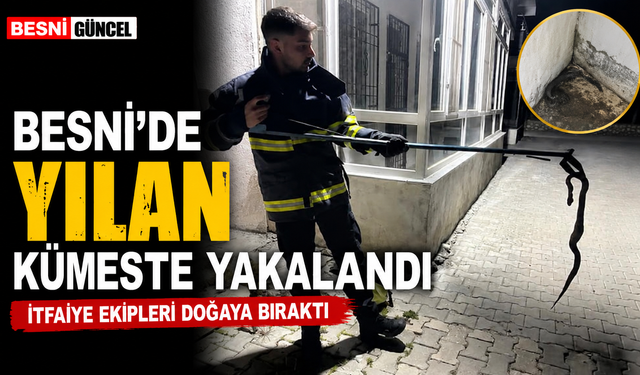 Besni'de bıldırcın kümesine giren yılan yakalandı