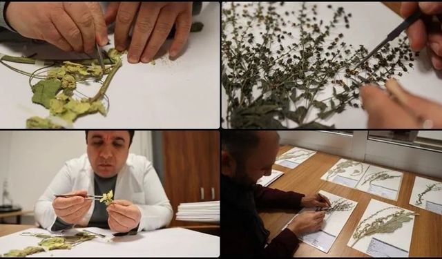 Bitki Koruma Ürünleri Bayilik Sınavı Duyuruldu