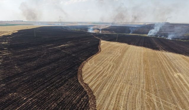 Diyarbakır Çınar'da Anız Yangınına Müdahale Ediliyor