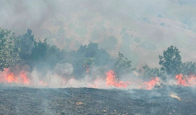 Hani'de çıkan orman yangını söndürüldü