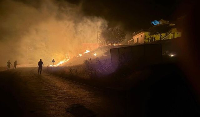 Gerger'de Köy Girişinde Yangın Paniği