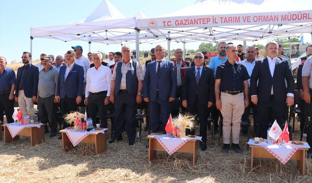 Yerli Buğday Hasadı Başarıyla Tamamlandı