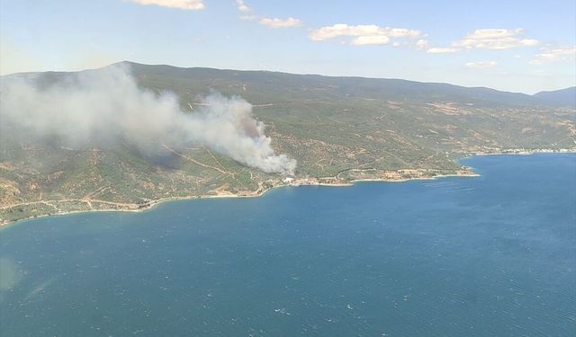 Armutlu'da çıkan orman yangını söndürüldü