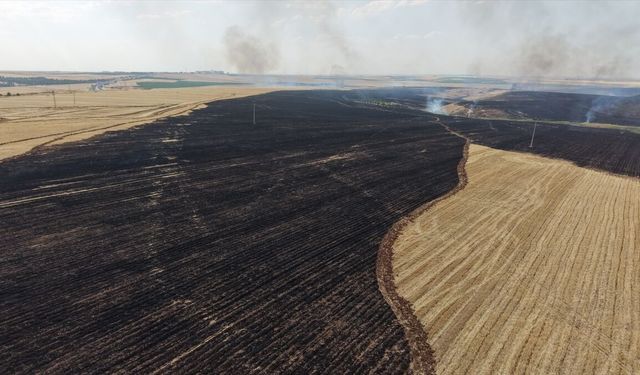 Diyarbakır Çınar'da Anız Yangını Kontrol Altında