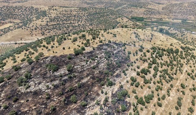 Mardin Ömerli'de Orman Yangını Kontrol Altında