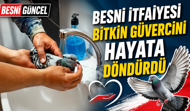 Besni İtfaiyesi Bitkin Güvercini Hayata Döndürdü
