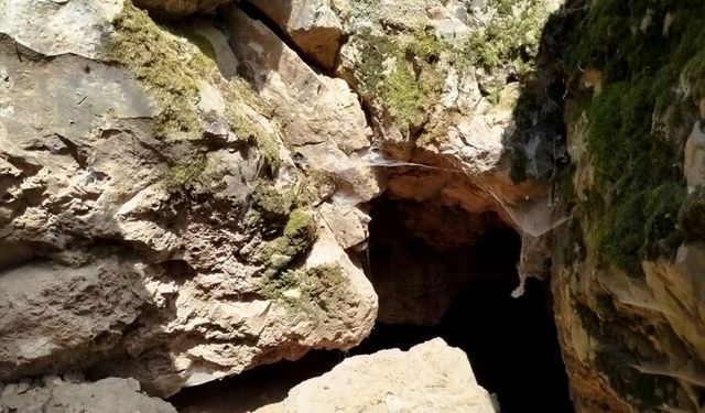 İnkaya Mağarası'nda Paleolitik Çağ'a ışık tutacak kazılar