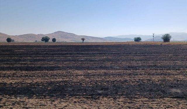 İslahiye'de Anız Yangını Büyük Zarar Verdi