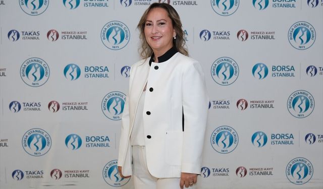 Kardemir halka arz gelirinin yüzde 90'u sermayeye