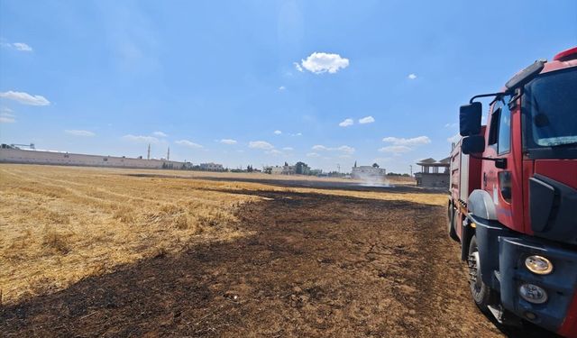 Kızıltepe'deki Anız Yangını Kontrol Altına Alındı
