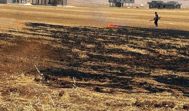 Mardin'de çıkan anız yangını kontrol altına alındı