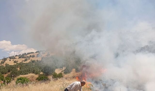 Mardin Ömerli'de Orman Yangınına Müdahale Ediliyor