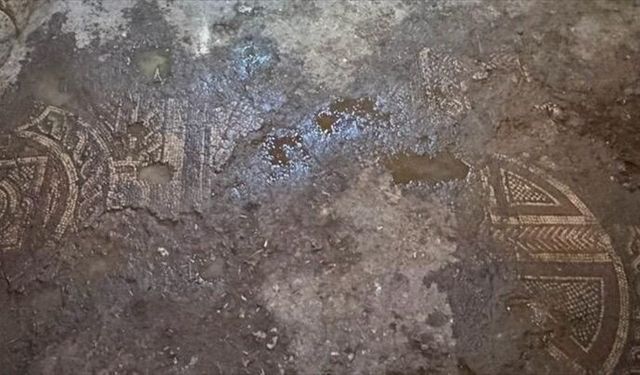 Mardin'de 1500 Yıllık Mozaik Bulundu