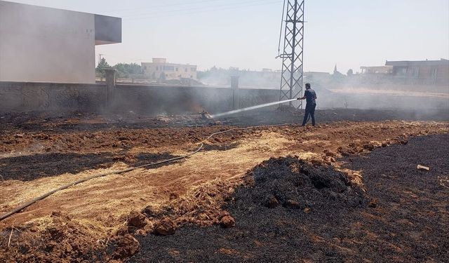 Mardin'de Çıkan Yangınlar Kontrol Altına Alındı