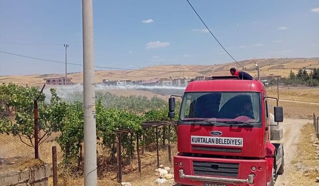 Siirt'te fıstık bahçesi ve ev yangınları söndürüldü