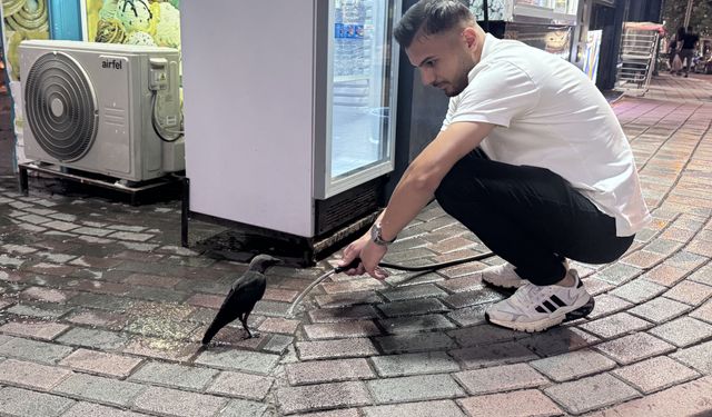 Siirt'te Kargaya Esnaftan Şefkat Eli.