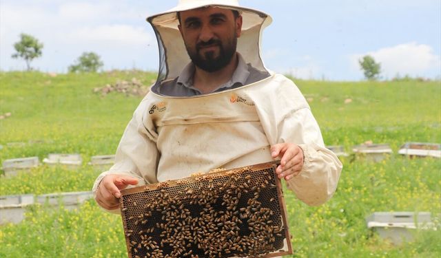 Siirt'te Arıcılık Destekleriyle Bal Üretimi Arttı