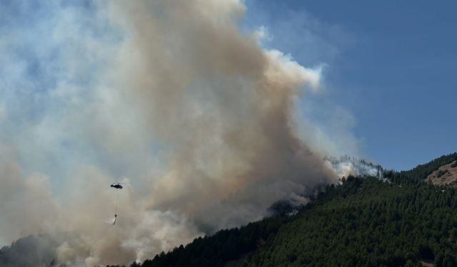 Sincik'te Orman Yangını Rüzgarın Etkisiyle Büyüyor