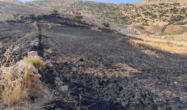 Cizre'deki Anız Yangını Kontrol Altına Alındı: Bir Yaralı