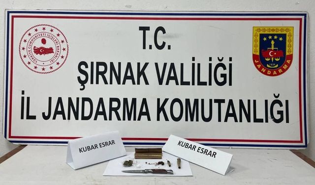 Şırnak'ta Kaçakçılık Operasyonunda 47 Şüpheliye İşlem