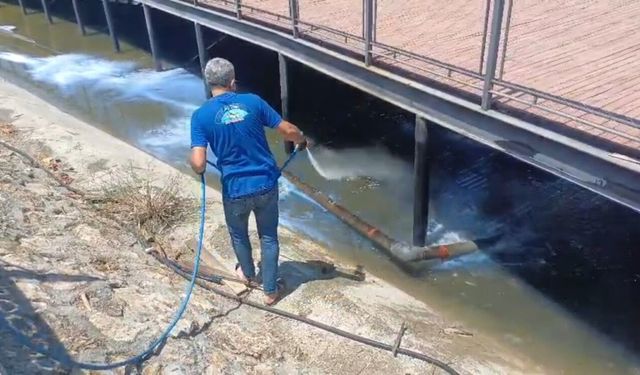 Adıyaman’da Ekipler Larva Kaynaklarını İlaçlıyor
