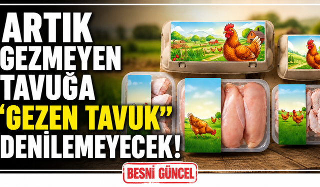 Artık Gezmeyen Tavuğa "Gezen Tavuk" Denilemeyecek