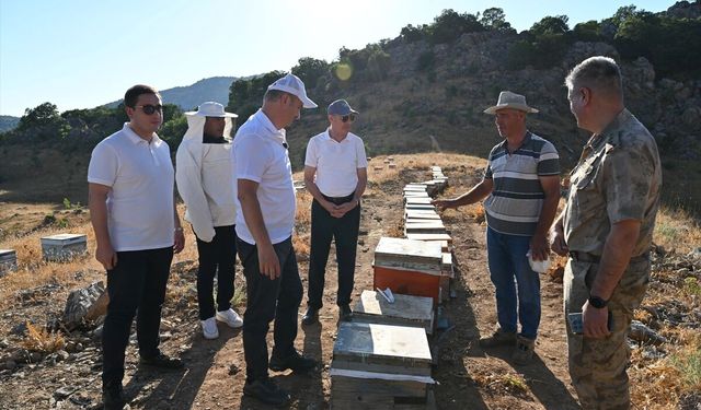 Vali Ekrem Canalp Helkıs Dağı'nda Bal Hasadına Katıldı